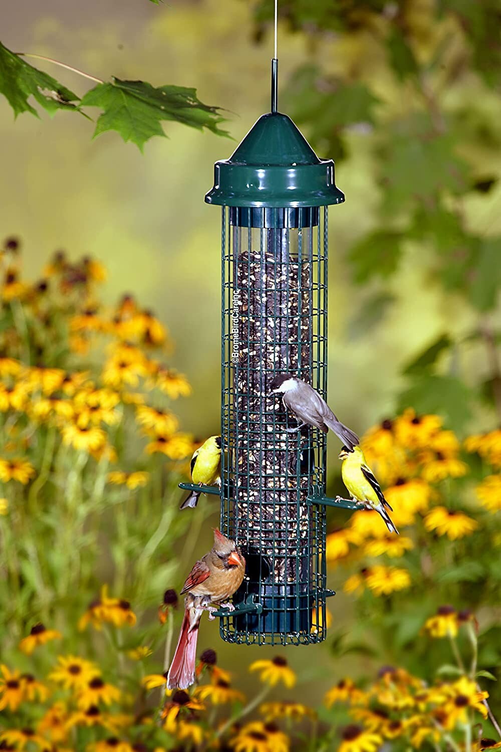 Squirrel Buster Classic Squirrel proof Bird Feeder w/4 Feeding Ports 2.4-pound