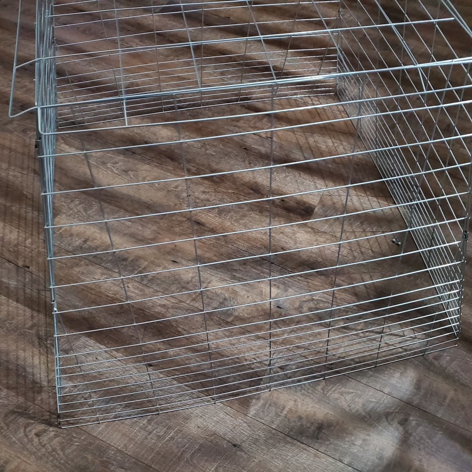 3pack Chicken Cage fully Collapsible 40 x 40 x 30 raise poultry Galvanized