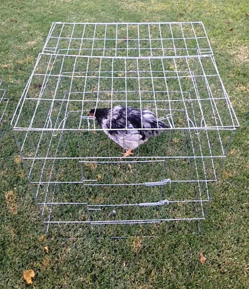 5pack Chicken Cage fully Collapsible 24x24inchs door in top roof raise poultry