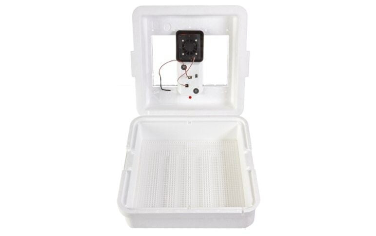 Little Giant 9300 Digital Still Air Incubator w/ LCD Display for 41 Eggs, White