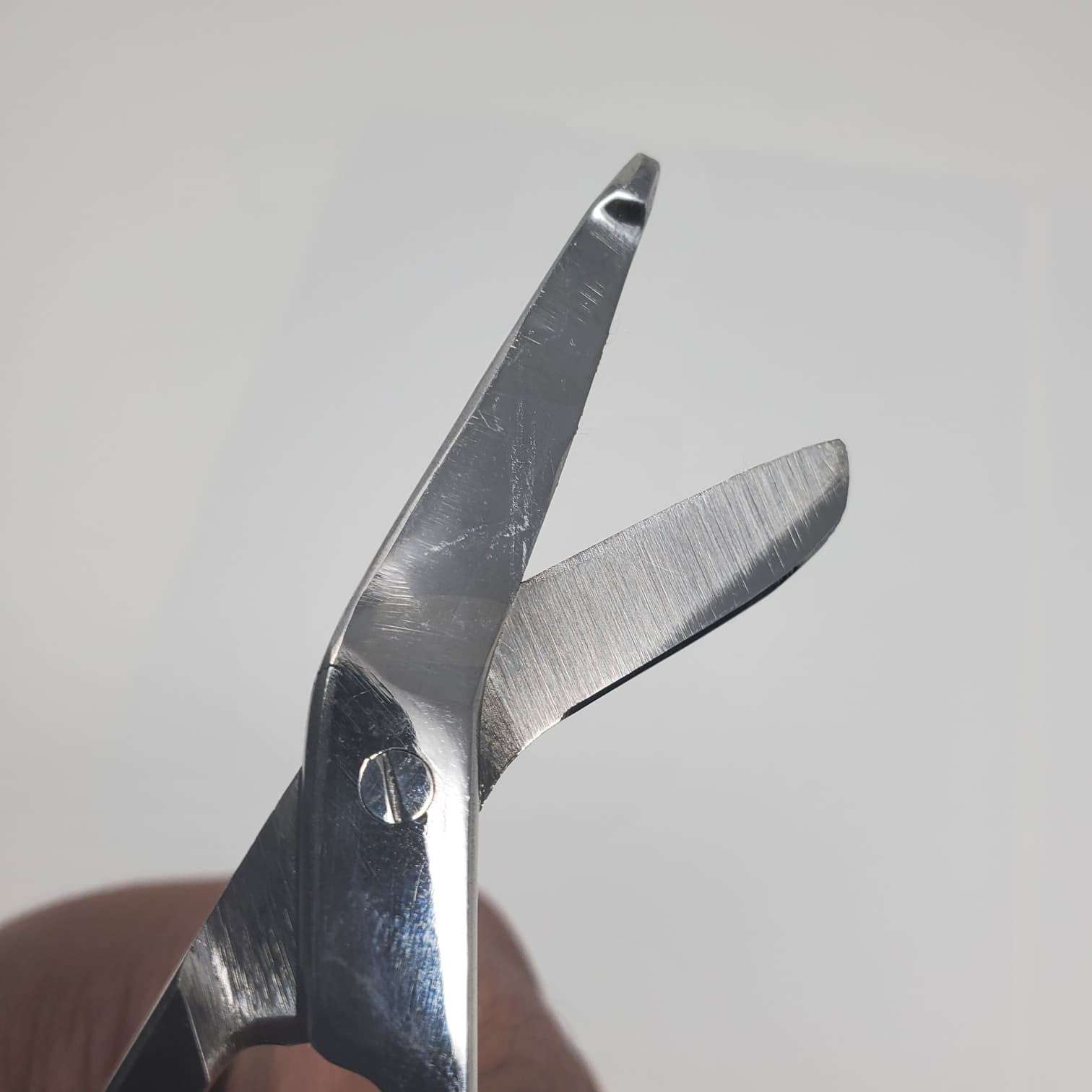4.5" Stainless Steel Bandage Scissors Tijeras de aseo y uso general para aves de