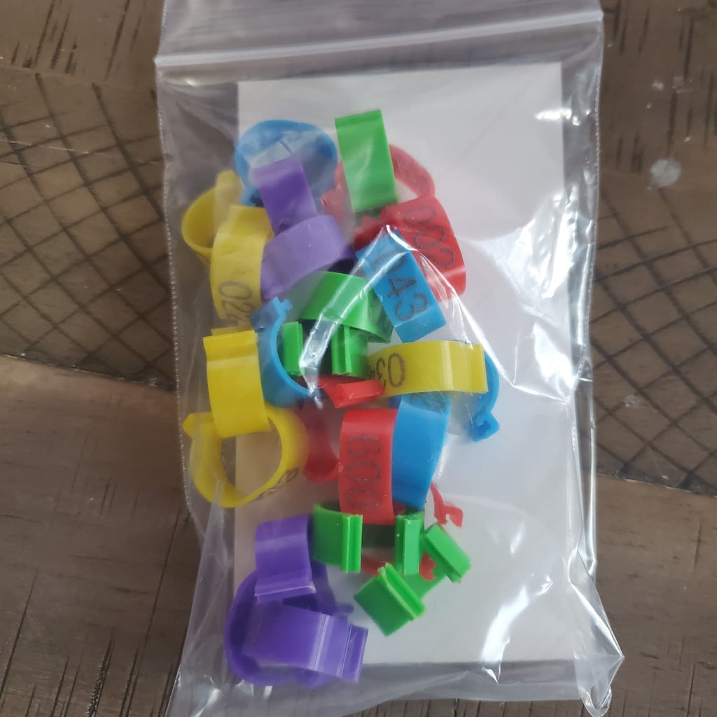 Bandettes 25 Pieces Numbered EZ-LOCK in Vibrant Colors for Enhanced Gri