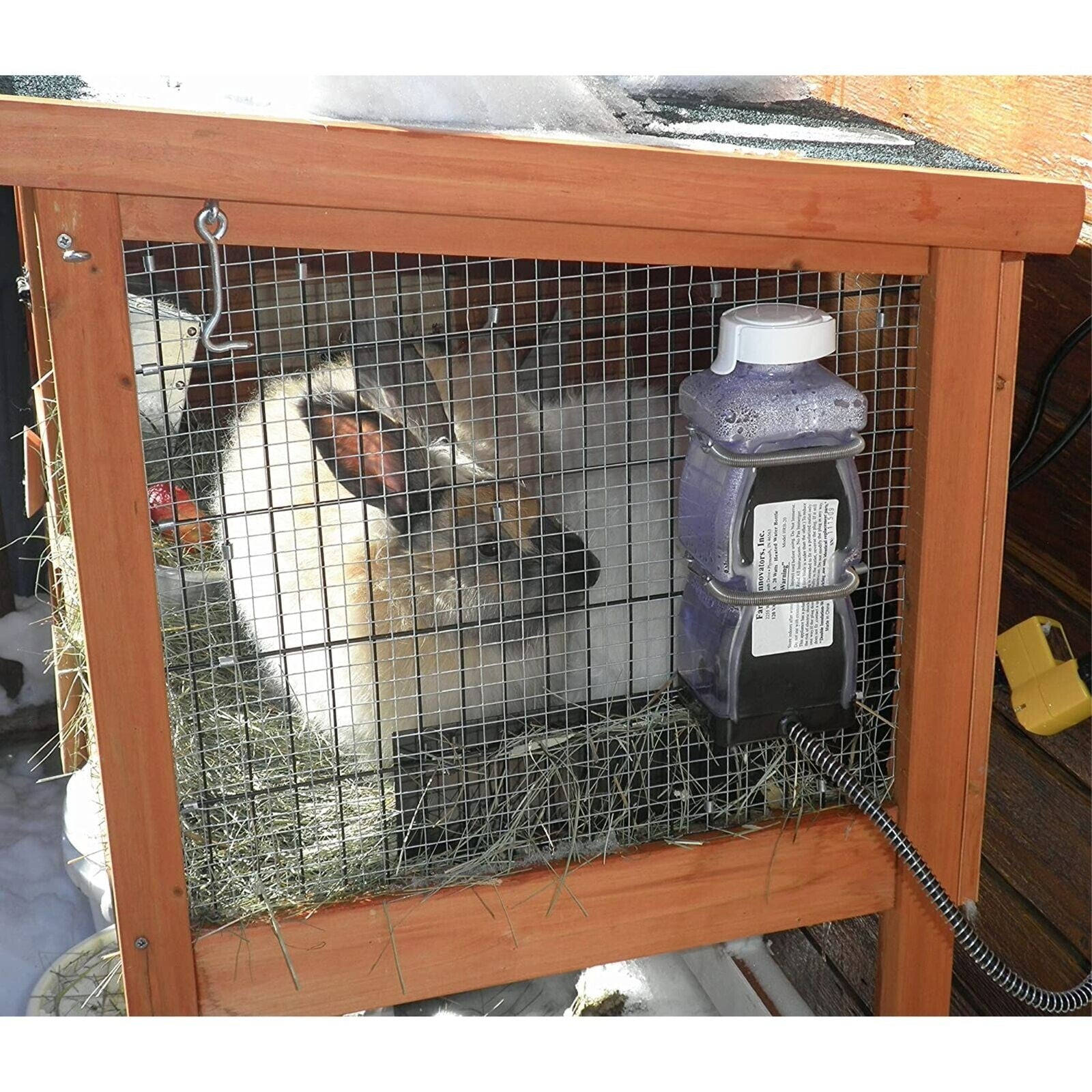 Heated Water Bottle for Rabbits, 32-Ounce, 20-Watt Top Quality Free Ship