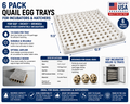 6 Pack Quail Egg Trays for GQF Dickey Brinsea Incubators 114 Egg Capacity