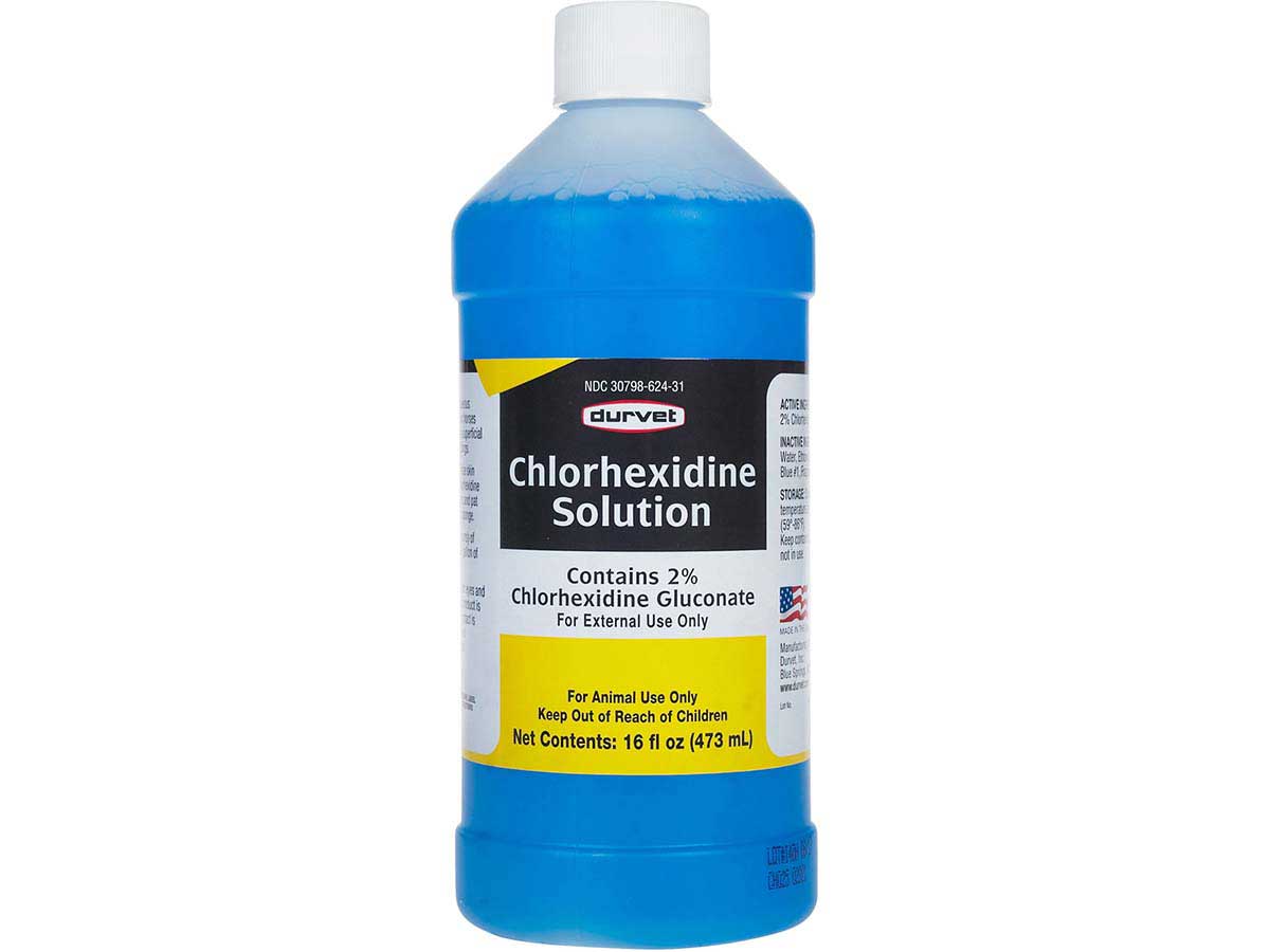 Durvet Chlorhexidine 2% Solution Antiseptic a& Antimicrobial Disinfectant