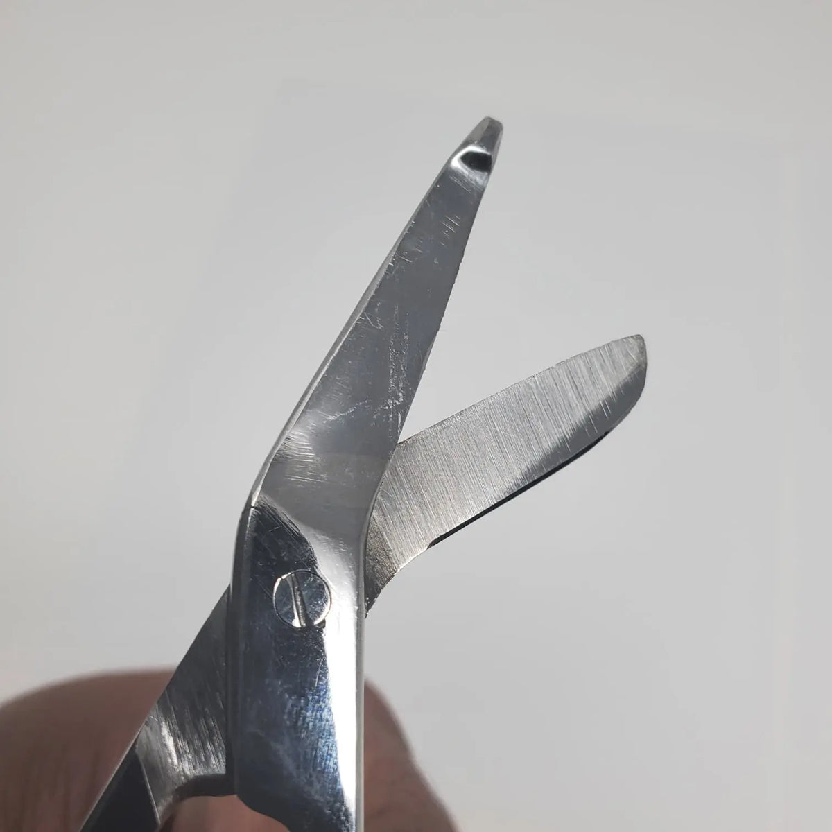 4.5" Stainless Steel Bandage Scissors for Gamefowl Rooster Care | Safe Blunt Tip Poultry Grooming Shears