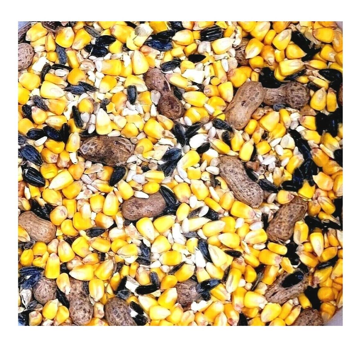 Squirrel & Critter Bird Seed Food Feed Corn Black Oil Sunflower Peanuts Nuts Nutritional Mix for Feeding Squirrels and Critter Birds