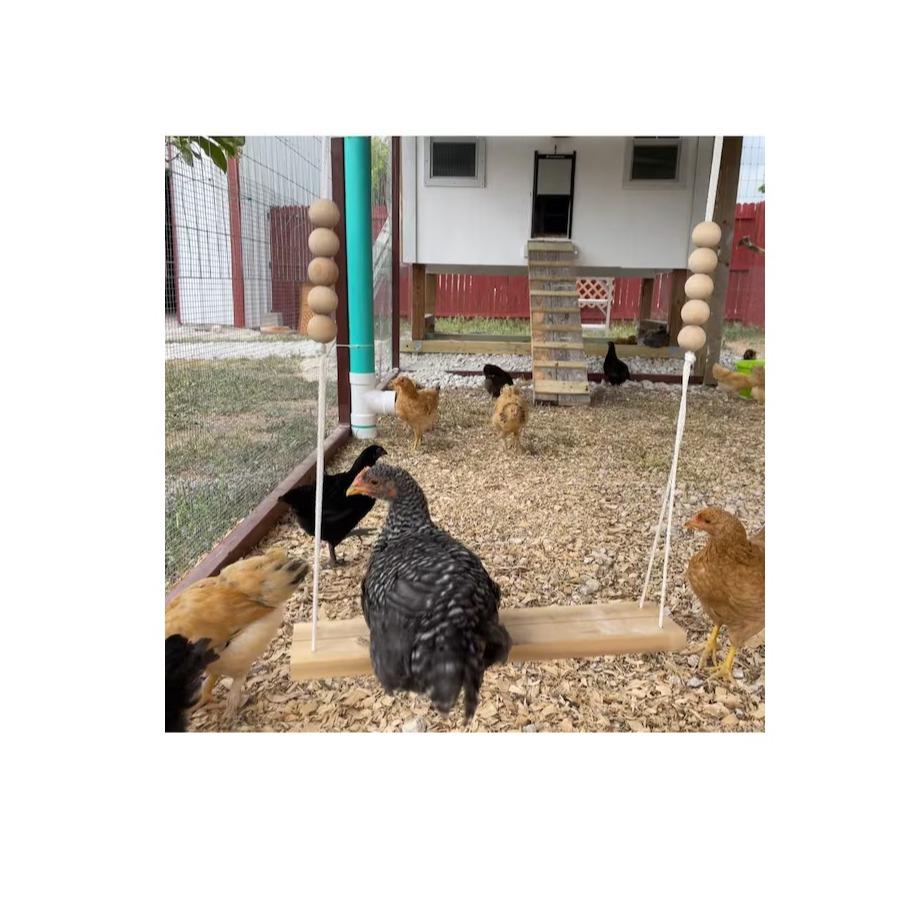 Chicken Swing Toy for Coop with Wooden Accessories HANDMADE IN USA! For Poultry Run Rooster Hens Chicks Pet Parrots Entertainment for Birds