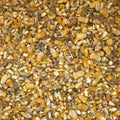 20lb Chicken Scratch Grains Made in The USA Rooster, Hen's,Game Birds, Duck Feed
