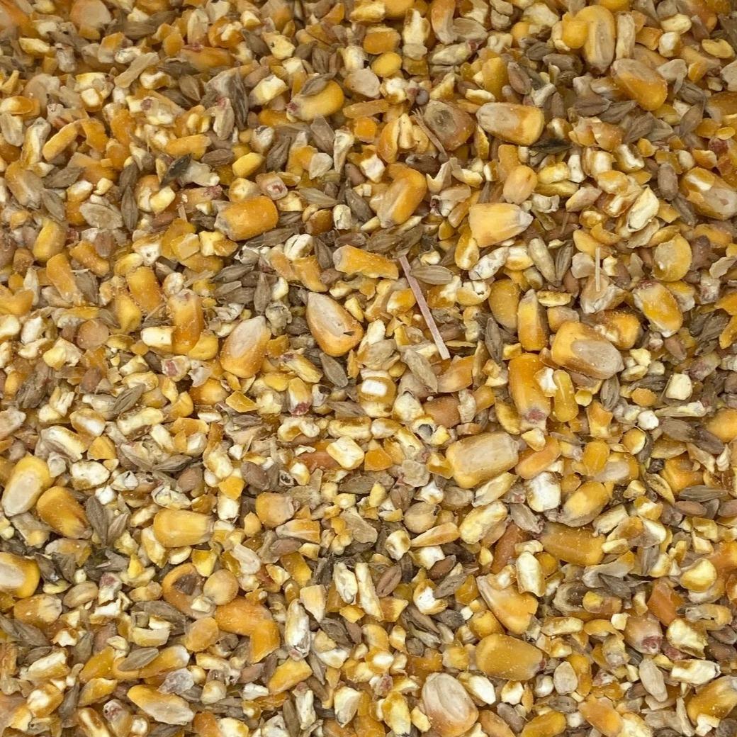 20lb Chicken Scratch Grains Made in The USA Rooster, Hen's,Game Birds, Duck Feed