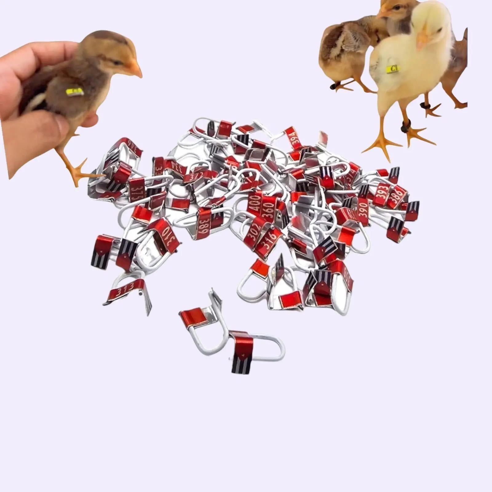 Candados Numéricos for Chickens - 100 Uni Numbered Markers for Baby Chicks 0-4 Months Aluminium Tags Easy Tracking Farming Breeders