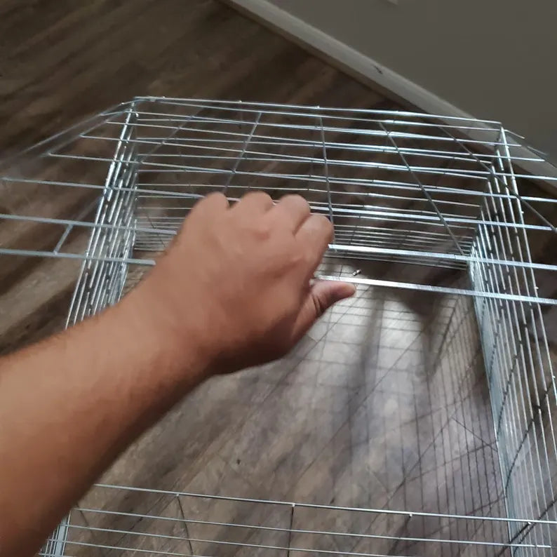 Chicken Cage fully Collapsible 40 x 40 x 30 raise poultry Galvanized safe poultry