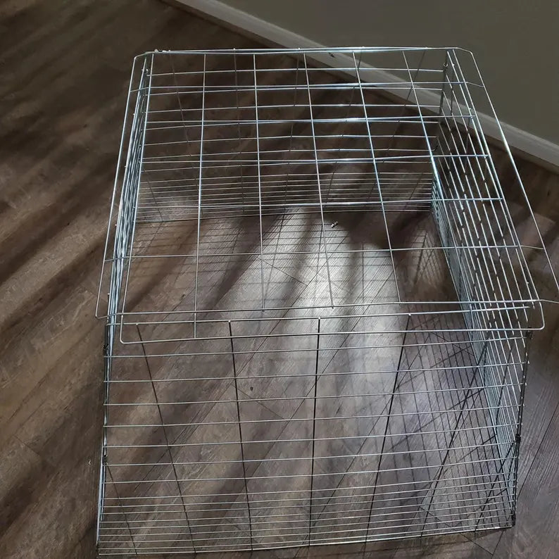 Chicken Cage fully Collapsible 40 x 40 x 30 raise poultry Galvanized safe poultry