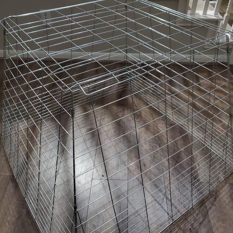 Chicken Cage fully Collapsible 40 x 40 x 30 raise poultry Galvanized safe poultry