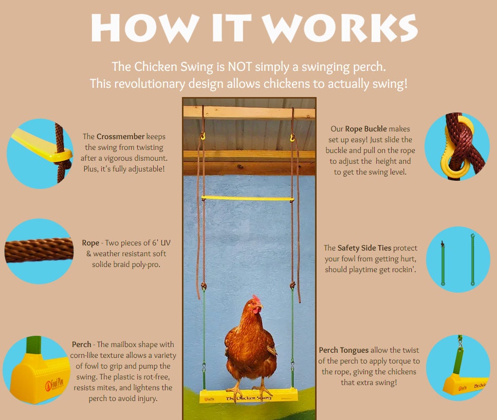 Chicken Swing Poultry Run Rooster Hens Chicks Pet Parrots Entertainment cooped up/unable to free range due to weather/predators/ordinances