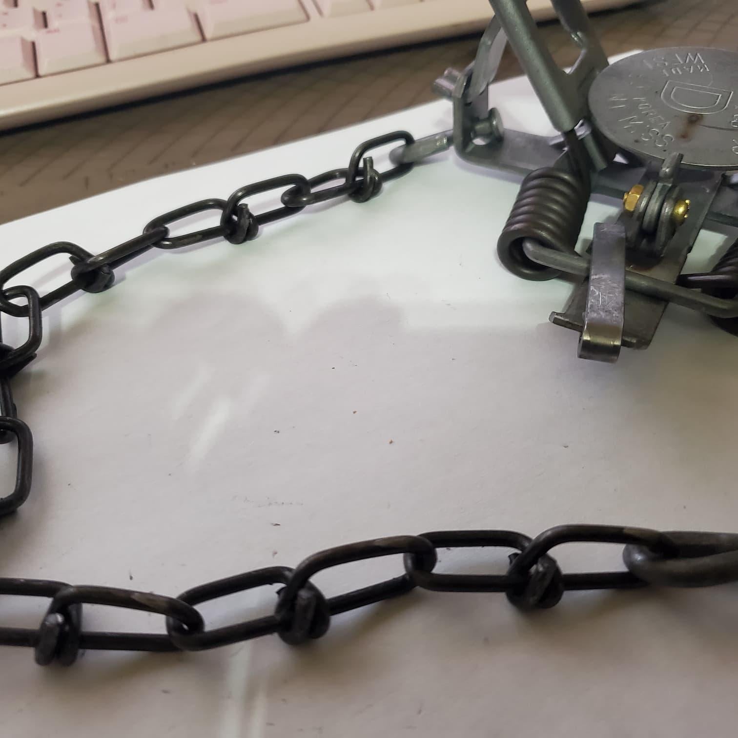 5.5 inch Steel Leg Trap rooster gallo protector
