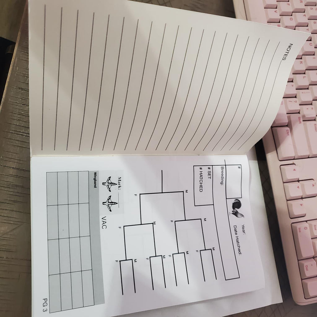 El Gallo Breeding Register Tracking Book – Poultry Chicken & Gamefowl Record Journal with Gold Chicken Design • Breeder Log Book