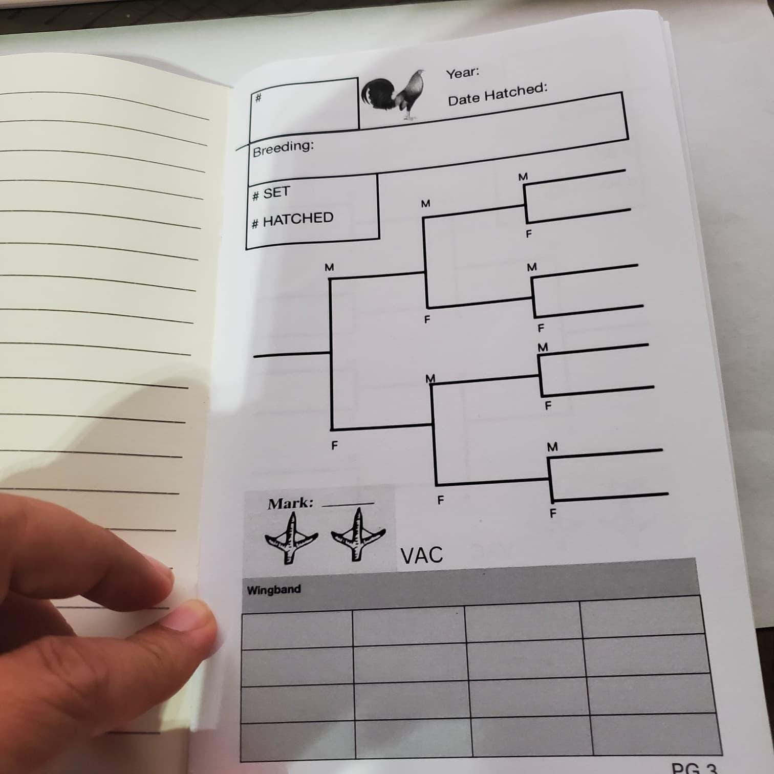 El Gallo Breeding Register Tracking Book – Poultry Chicken & Gamefowl Record Journal with Gold Chicken Design • Breeder Log Book