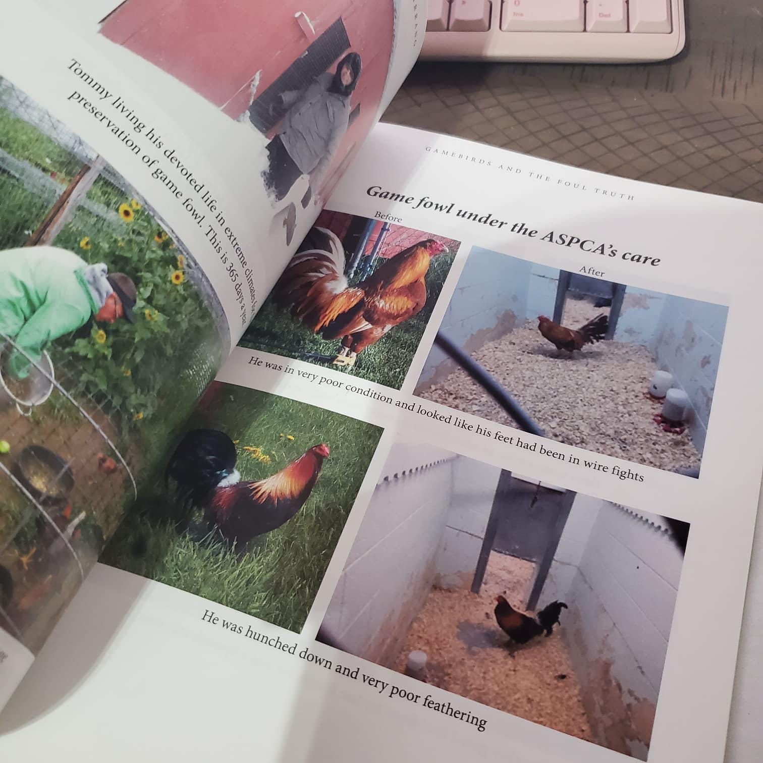 Game Fowl and the Foul Truth Book by Tommy Carrano • Gamefowl Life Story Community Insights • Poultry & Farm Memoir