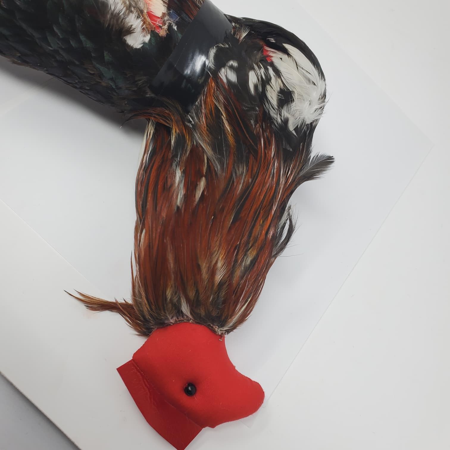Handmade Mona Con Plumas | Traditional Rooster Training Dummy | Natural Feather Gallo Accessory | Poultry Training Collectible