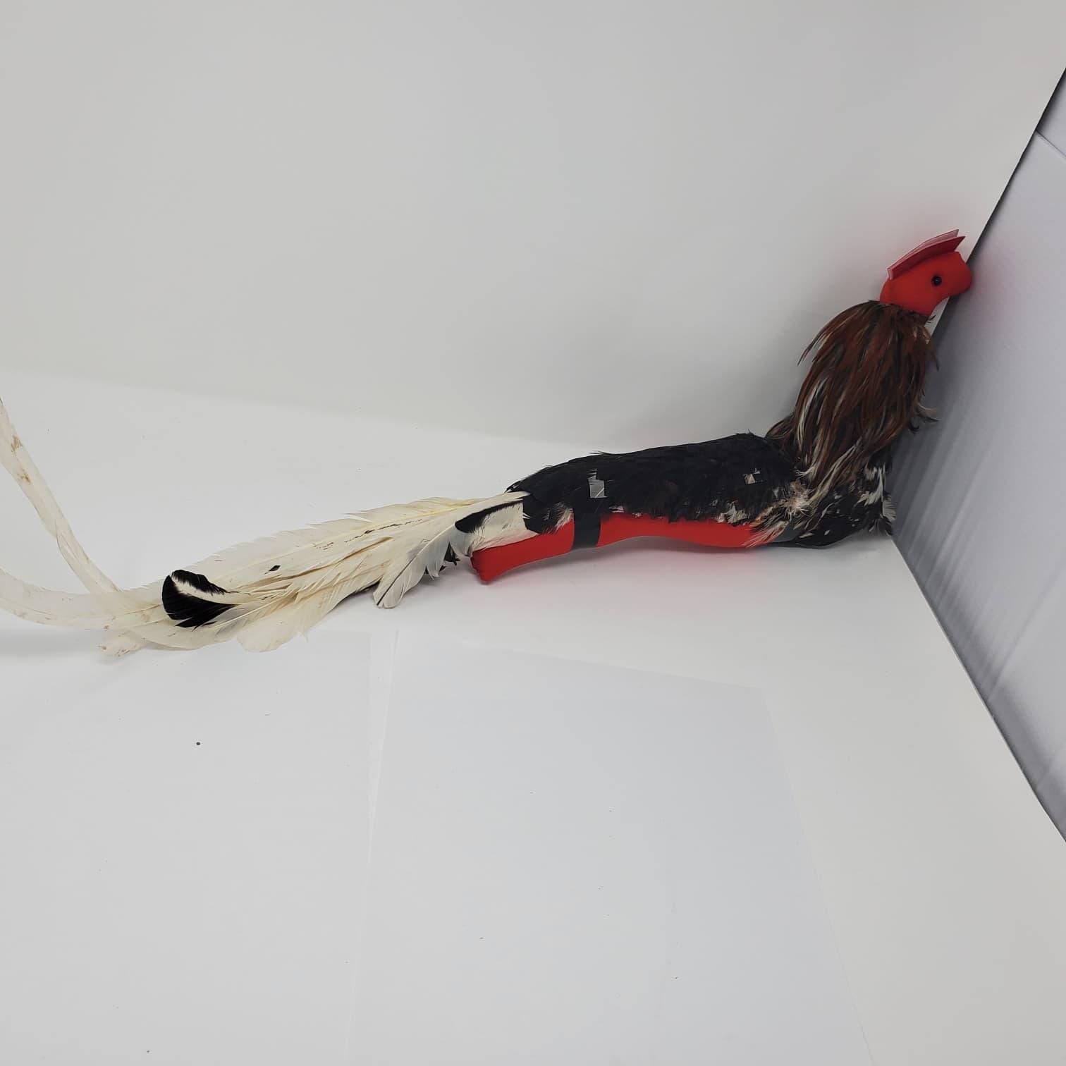 Handmade Mona Con Plumas | Traditional Rooster Training Dummy | Natural Feather Gallo Accessory | Poultry Training Collectible