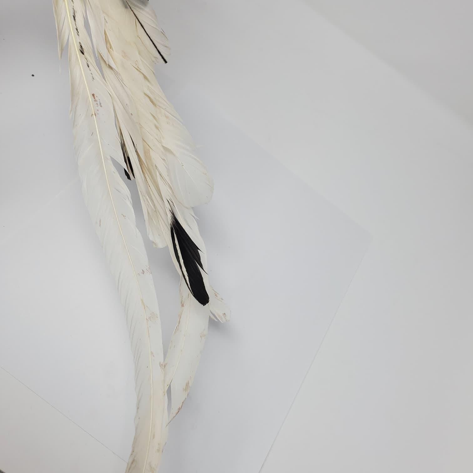 Handmade Mona Con Plumas | Traditional Rooster Training Dummy | Natural Feather Gallo Accessory | Poultry Training Collectible