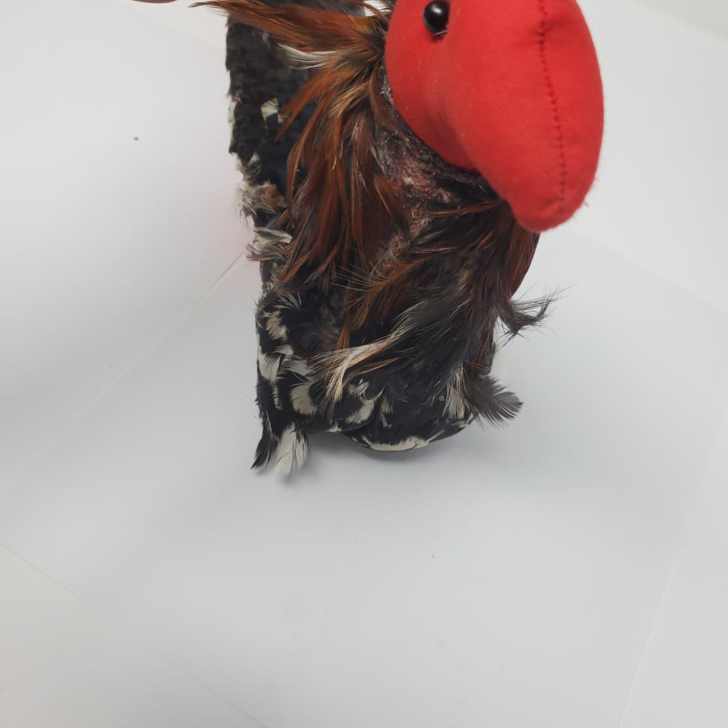 Handmade Mona Con Plumas | Traditional Rooster Training Dummy | Natural Feather Gallo Accessory | Poultry Training Collectible
