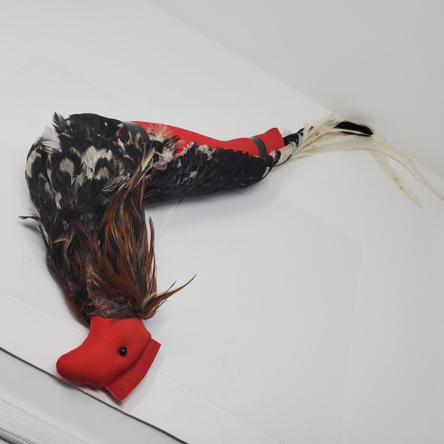 Handmade Mona Con Plumas | Traditional Rooster Training Dummy | Natural Feather Gallo Accessory | Poultry Training Collectible